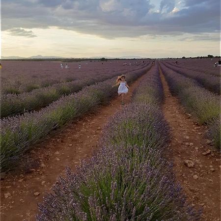Apartamentos La Bodega Del Abuelo Bujalaro Dış mekan fotoğraf