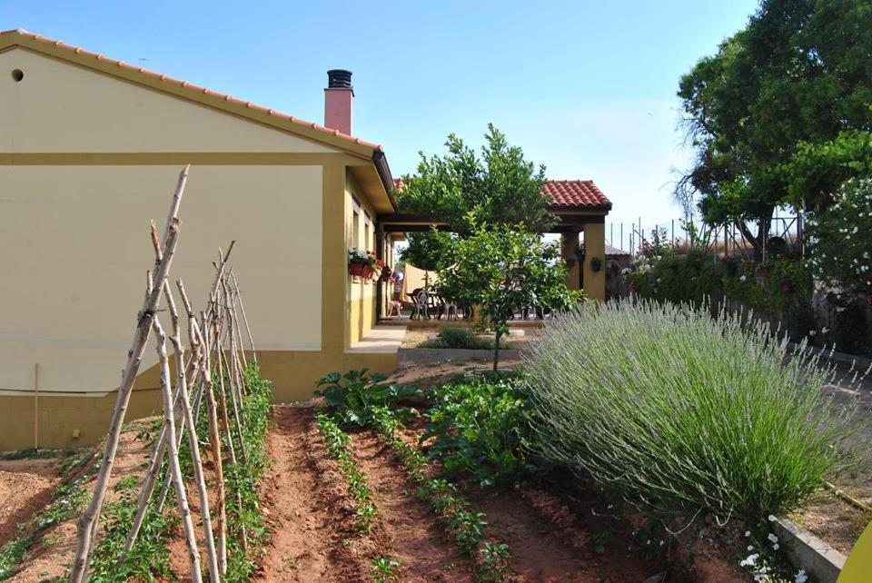 Apartamentos La Bodega Del Abuelo Bujalaro Dış mekan fotoğraf