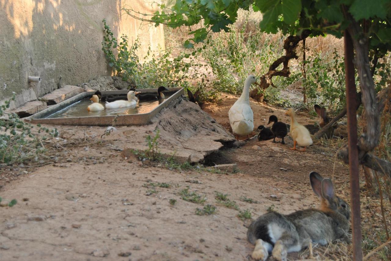Apartamentos La Bodega Del Abuelo Bujalaro Dış mekan fotoğraf
